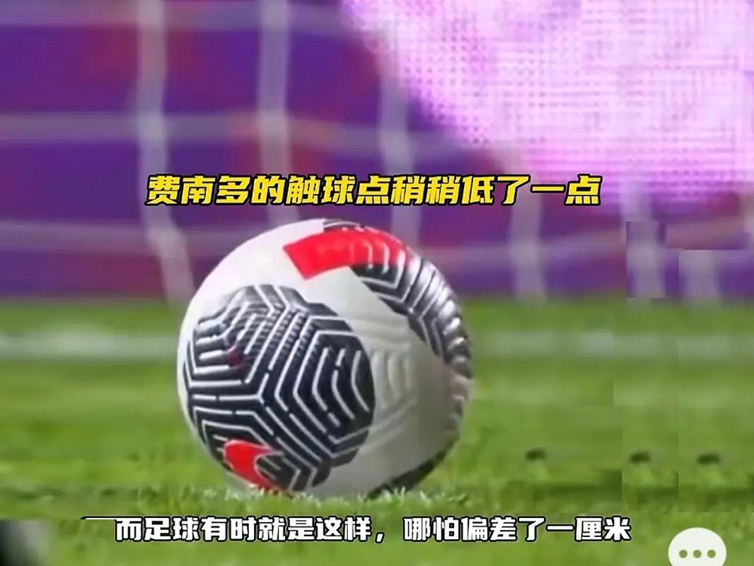 血循環特點